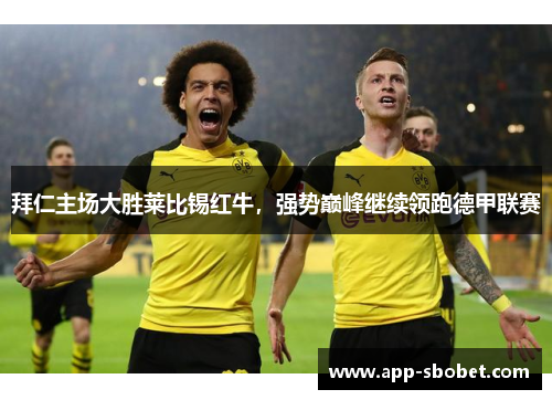 拜仁主场大胜莱比锡红牛，强势巅峰继续领跑德甲联赛